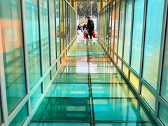 -白塘生态植物园