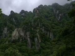 -王顺山国家森林公园