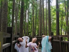 -东湖落雁景区