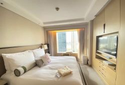 -巍阁高端月子会所