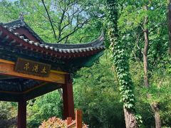 -竹子庵公园