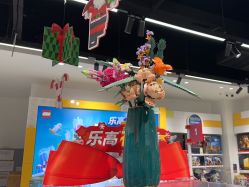-乐高授权专卖店(中关村领展店)