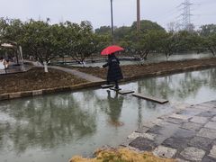 -乌村
