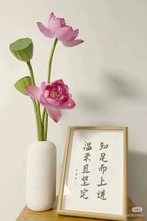 -瑶芳清颜草本祛痘