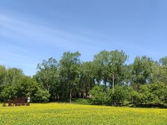-北坞公园