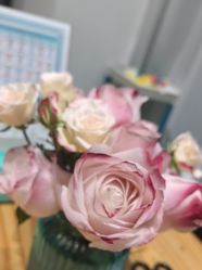 点击看大图 -玛尼瑜伽·普拉提