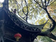 -绮园景区
