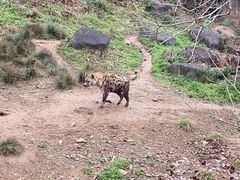 -宁波野生动物园