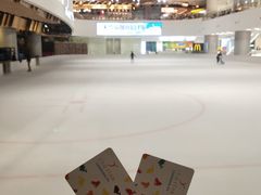 -TheRink大零溜冰场(IFS国金中心店)