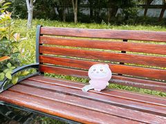 -上海佘山国家森林公园天马山园