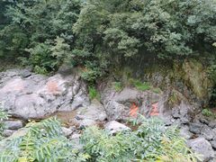 -湖州龙王山景区