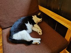 -猫的天空之城概念书店(杭州南宋御街店)