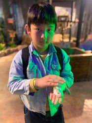 -酷嗒动物文化乐园(cutezoo西溪乐天城店)