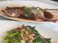 -香樟花园新粤料理(无锡万象城店)