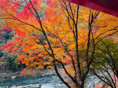 -岚山嵯峨野观光小火车