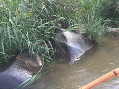 -长泰漂流水陆空景区