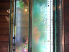 -花鸟鱼私家小厨(文殊院店)
