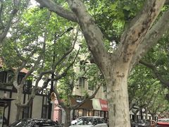 -一尺花园(安和花园店)