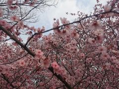 -白塘生态植物园