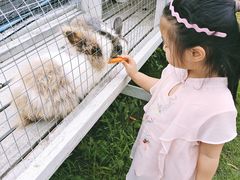 -宁波九龙湖开元度假村