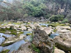 -黔府豆米火锅野菜馆(南马店)