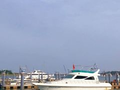 -渡海小渔村.老辈日照菜