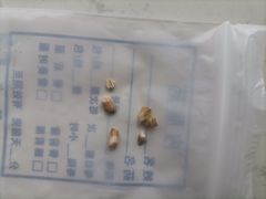 -瑞派·关忠动物医院·异宠专科·犬猫肿瘤·皮肤专科(望京店)