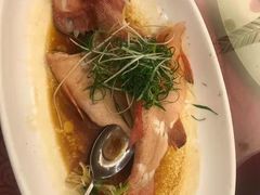 清蒸珍珠龙趸-山泉公馆酒家(珠江新城店)
