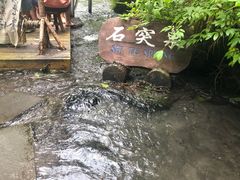 -峡谷浮石林景区