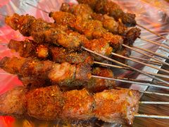 -蔡记东北烧烤油边王(丰乐路店)