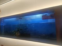 -老板恋上鱼(印象城店)