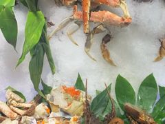 -蓝钻·国际美食海鲜自助百汇(西直门店)