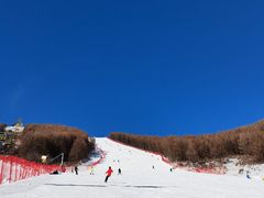 -密苑云顶乐园(云顶滑雪场)