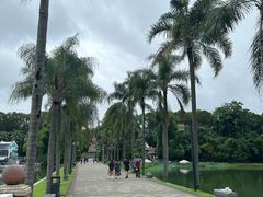 -南宁南湖公园