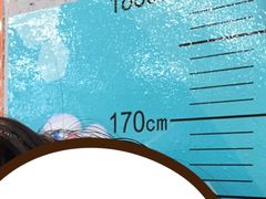 -奥林匹克体育中心游泳跳水中心