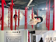 -辰熙ACX星海艺术中心