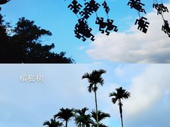 -海南槟榔谷黎苗文化旅游区