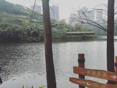 -重庆彩云湖湿地公园