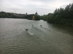 -南通濠河风景名胜区