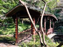 -杭州半山国家森林公园