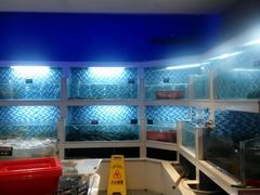 -船奇蒸汽海鲜·闽菜(八市海鲜总店)