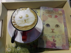 android_upload_pic-Anne猫窝咖啡屋
