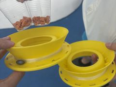 -三亚游船旅游中心(三亚鹿回头游艇游船公共码头店)