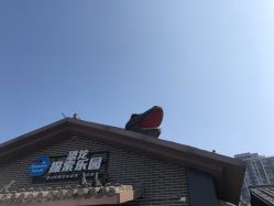 -恐龙探索乐园(磁器口店)