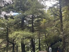 -苍山感通索道