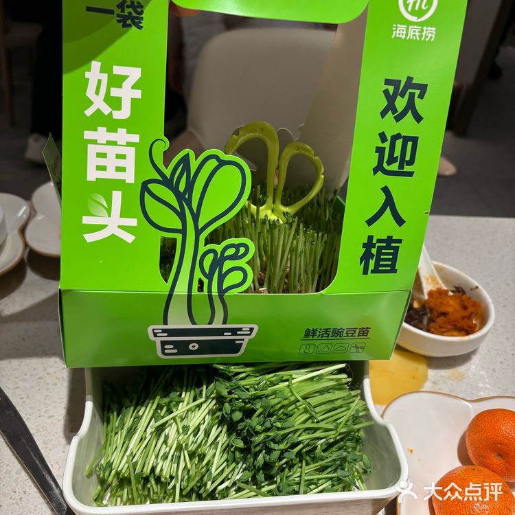 除夕能吃海底捞心怀感恩