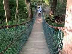 -西湖风景区十里琅珰-五云山