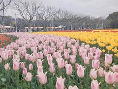 -大宁公园