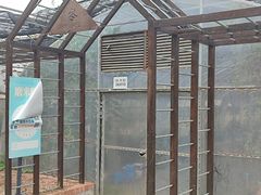 -前小桔亲子创意农场·草莓采摘·露营烧烤