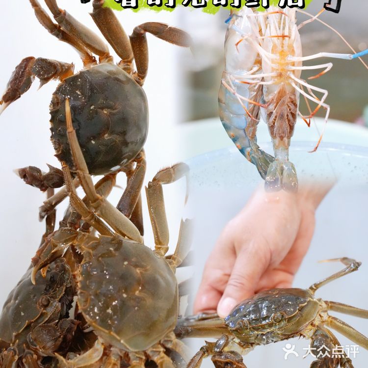 又是一年吃蟹季|他们家超好吃👇